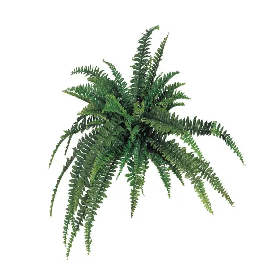 12-Pack: Boston Fern Plant with 48 Silk Fronds, 48" Wide, Faux Greenery, Floral Home by Artificial Flowers {1}