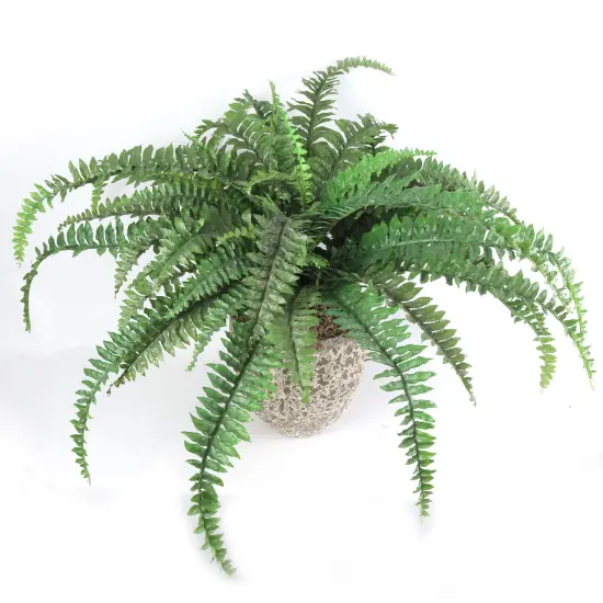 12-Pack: Boston Fern Plant with 48 Silk Fronds, 48" Wide, Faux Greenery, Floral Home by Artificial Flowers {2}