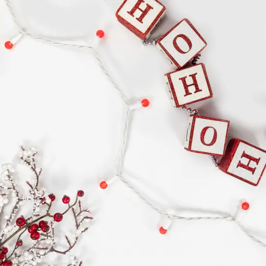 Northlight LED G12 Berry Christmas Lights - Red - 16' White Wire - 50 ct {4}