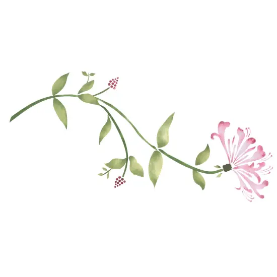 Honeysuckle Flower Wall Stencil | 3301 by Designer Stencils | Floral Stencils | Reusable Art Craft Stencils for Painting on Walls, Canvas, Wood | Reusable Plastic Paint Stencil for Home Makeover | Easy to Use & Clean Art Stencil {1}