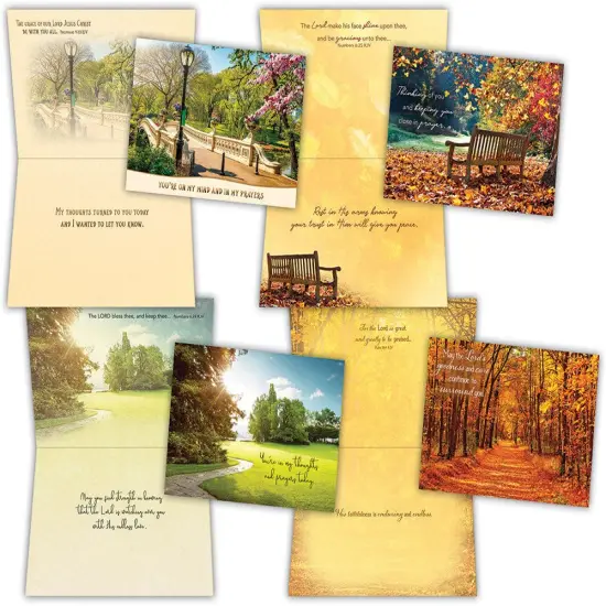 Thinking of You - Pathways - Assorted Thinking of You Cards, Box of 12 {1}