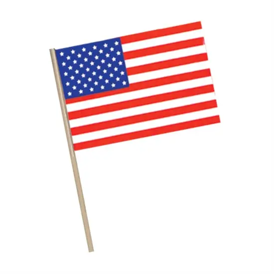 American Flag - Plastic (Pack Of 144) {1}