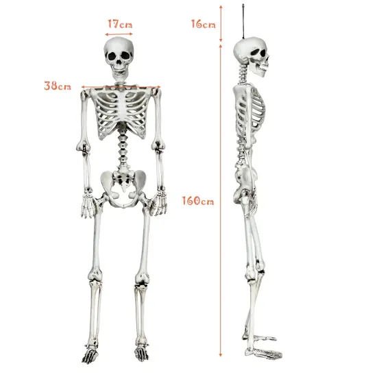 Costway 5.4ft Halloween Skeleton Life Size Realistic Full Body Hanging w/ Movable Joints {3}
