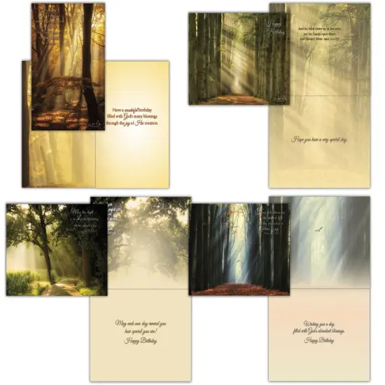 Birthday - Rays of Light {1}