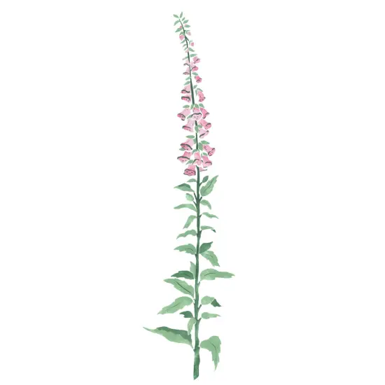 Small Foxglove Flower Wall Stencil | 2747R by Designer Stencils | {1}