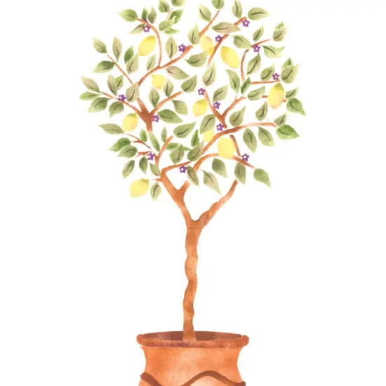 Lemon Tree Topiary Wall Stencil | 3286A by Designer Stencils | Floral Stencils | {2}