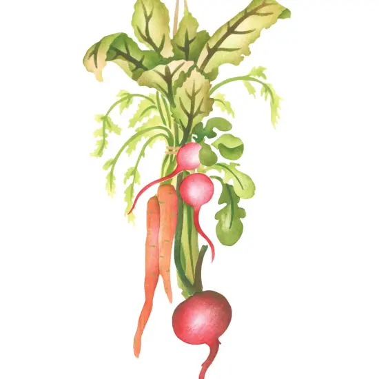 Hanging Vegetable Spray Wall Stencil | 3272 by Designer Stencils | Reusable Art Craft Stencils for Painting on Walls, Canvas, Wood | Reusable Plastic Paint Stencil for Home Makeover | Easy to Use & Clean Art Stencil {2}