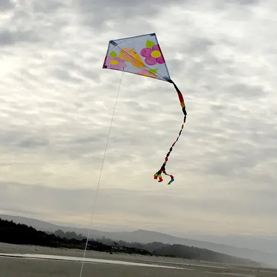 In the Breeze 3074-4 &mdash; 4-Pack Coloring 20", Group Pack (4PC), Diamond Kite {3}