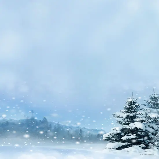 Great Papers! Beautiful Christmas Holiday Letterhead, Invitations and Announcements, Printer Friendly 8.5" x 11", 80 PK {2}