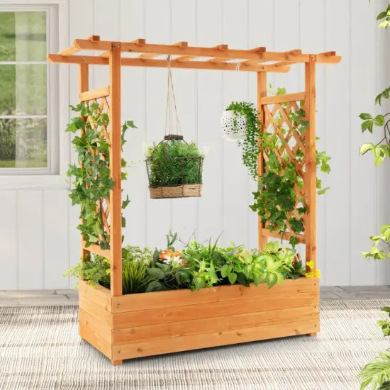 Raised Garden Bed with Trellis or Climbing Plant and Pot Hanging {4}