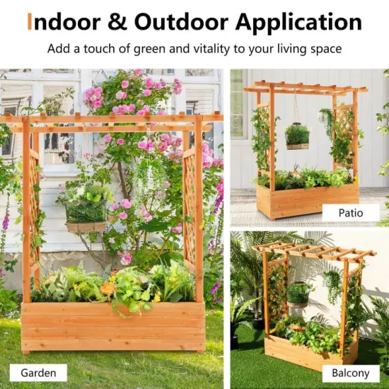 Raised Garden Bed with Trellis or Climbing Plant and Pot Hanging {2}