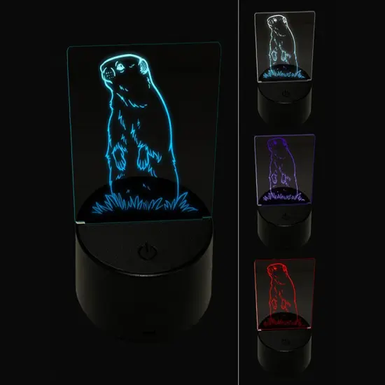 Groundhog Woodchuck Standing Up 3D Illusion LED Night Light Sign Nightstand Desk Lamp {1}