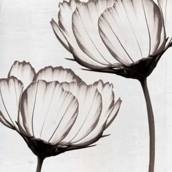 Takes Two I Poster Print by Katrina Craven - Item # VARPDX14681 {1}