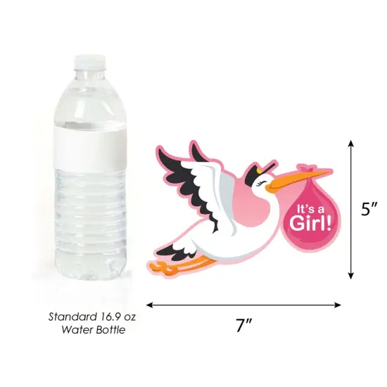 Big Dot of Happiness Girl Special Delivery - Decorations DIY Pink It's a Girl Stork Baby Shower Party Essentials - Set of 20 {6}