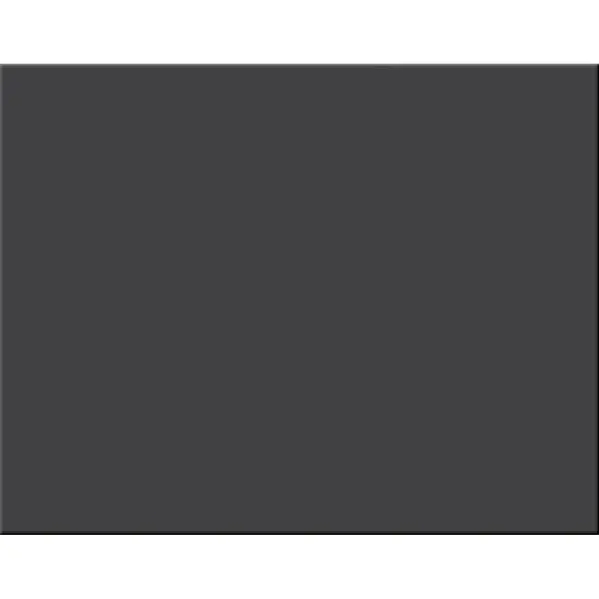 Pacon Posterboard 4-Ply 22"X28" {1}