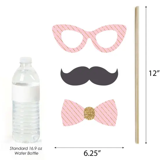 Big Dot of Happiness Two Much Fun - Girl - 2nd Birthday Party Photo Booth Props Kit - 20 Count {6}