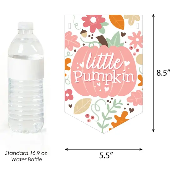 Big Dot of Happiness Girl Little Pumpkin - Fall Birthday Party Bunting Banner - Party Decorations - Happy Birthday {3}