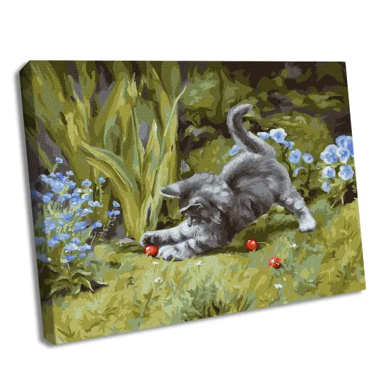 Painting by Numbers kit Playful kitten KHO4251 {1}