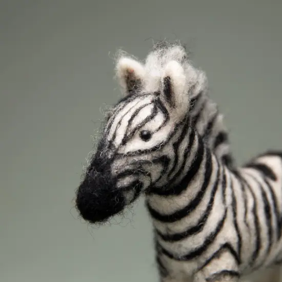 Felting kit Zambezi {5}