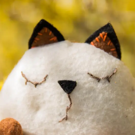 Felting kitFavourite {3}