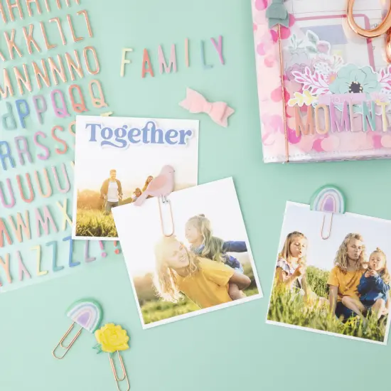 American Crafts Rainbow Avenue Paper Clips-6/Pkg {5}