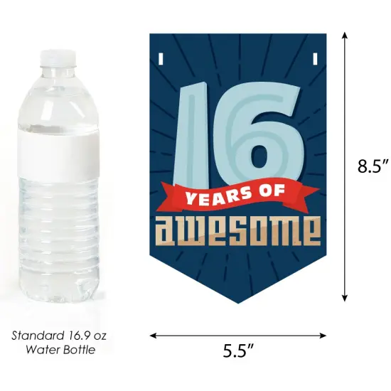 Big Dot of Happiness Boy 16th Birthday - Sweet Sixteen Birthday Party Bunting Banner - Birthday Party Decorations - Happy Birthday {3}