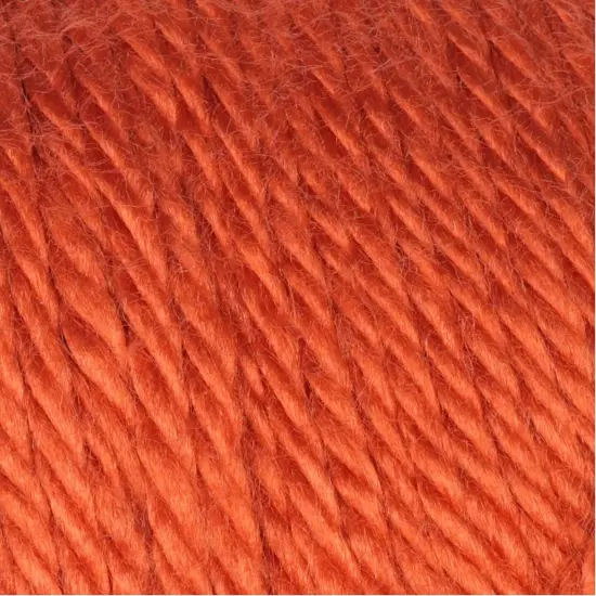 (Pack of 2) Caron Simply Soft Solids Yarn-Pumpkin {3}