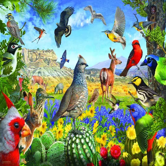Sunsout Texas Birds 1000 pc Jigsaw Puzzle 70939 {1}
