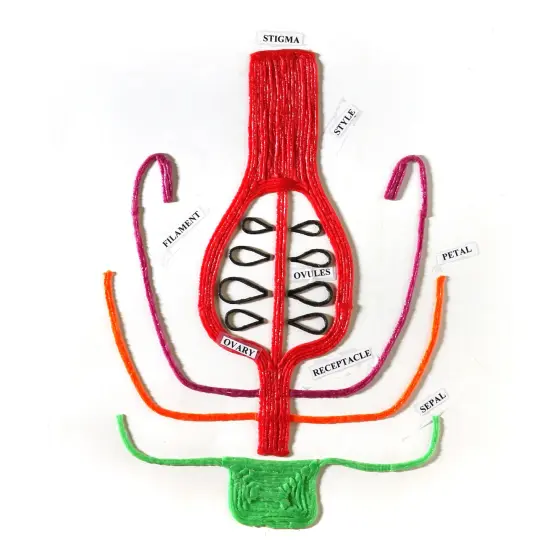 Wikki Stix 8" 48/Pkg-Primary {3}