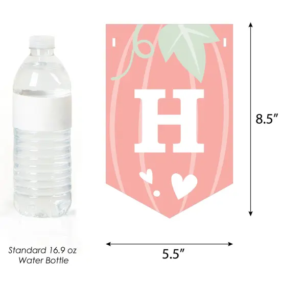 Big Dot of Happiness Girl Little Pumpkin - Fall Birthday Party Bunting Banner - Party Decorations - Happy Birthday {4}