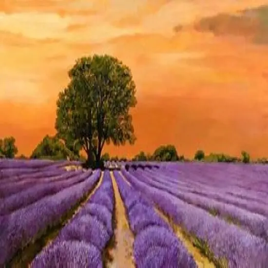 Campo al tramonto Poster Print by Valerio Sella - Item # VARPDX2VS446 {1}