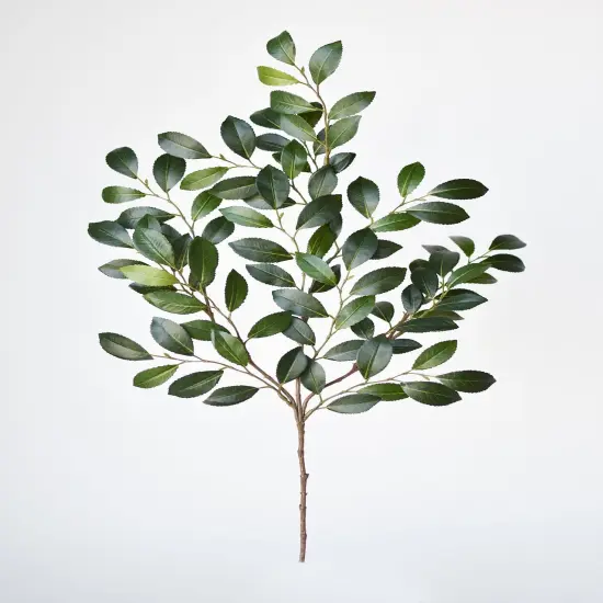 26" Faux Ruscus Leaf Stem {1}