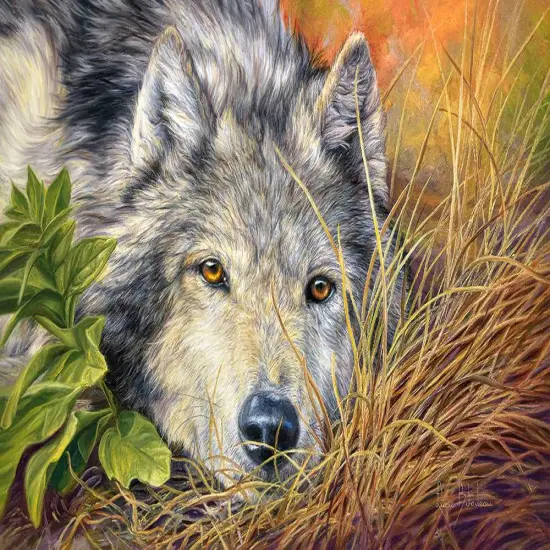 500 Piece Jigsaw Puzzle, Pure Soul, Animal puzzle, Wolf, Nature puzzle, Adult Puzzles, Castorland B-53285 {2}