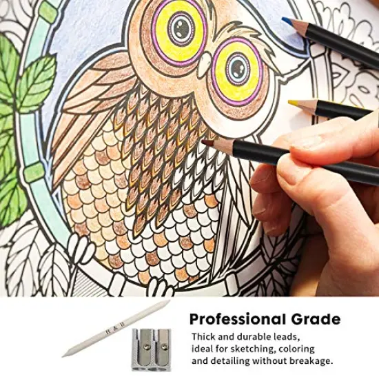 96 Pieces Sketching and Drawing Colored Pencils Set,Art Supplies Painting Graphite Professional Art Pencils Kit,Gifts for Teens & Adults Drawing Charcoal Tool Set {6}