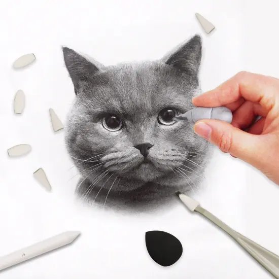 38 Pieces Sketch Drawing Tools - Blending Stumps and Tortillions Set Blending Tools with Art Sketch Wipe Scrapers,Rub Sponge,Kneaded Eraser and Sandpaper Sharpeners {4}