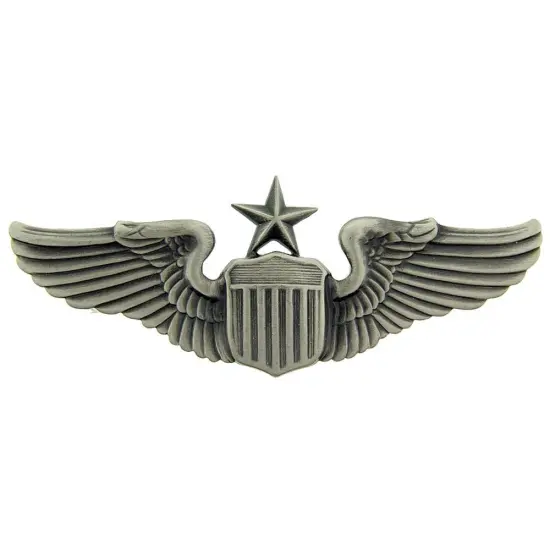 EagleEmblems P16062 Wing-USAF,Pilot,Senior (3'') {1}