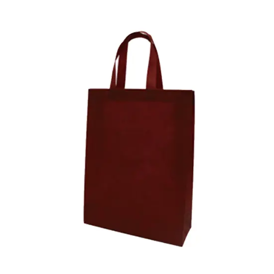 Non Woven Shopping Bag Reusable Grocery Bag | RADYAN&reg; Green {5}