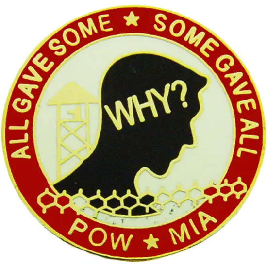 POW MIA Why? Pin 1" {1}