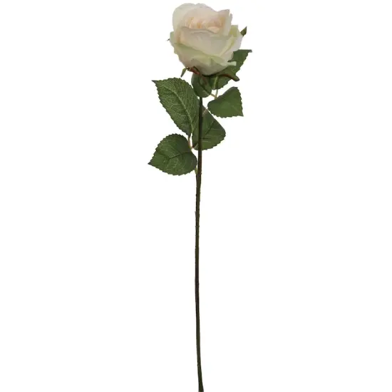 Champagne Chic: 20" Realistic Silk Champagne Rose Bud Stem - 6 Piece Set - Elevate Your Event Decor with these Stylish Flowers {2}