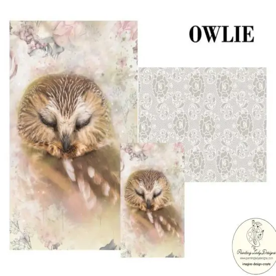 Owlie the Owl - Decoupage & Mixed Media Art Paper (large) {4}