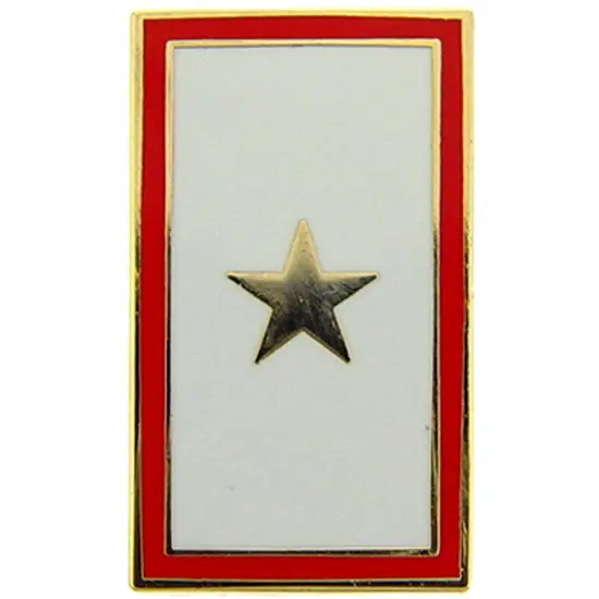 Family Member In Service Pin Gold Star 7/8" {1}