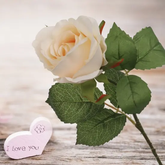 Set of 6 Cream Rose Buds 20" Silk Stems for Home & Event Decor {5}