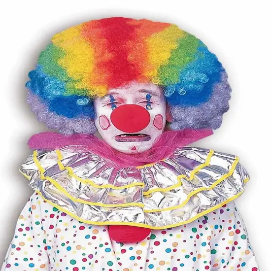 Rainbow Afro Clown Costume Wig {1}
