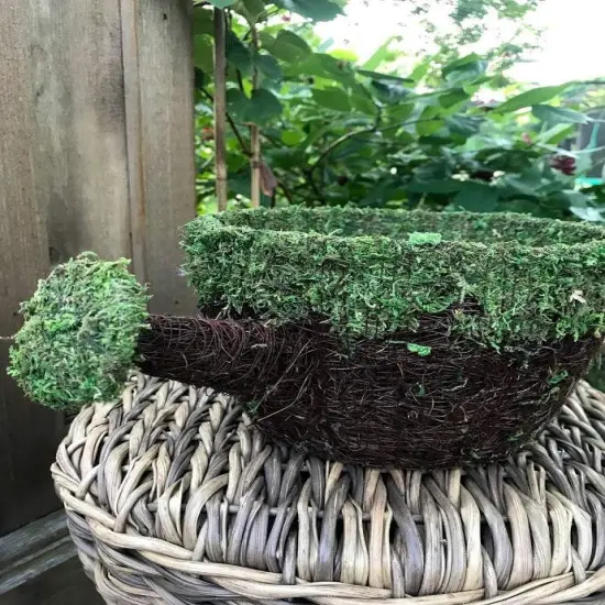 Watering Can PLANTER - Natural MOSS & Wicker {3}