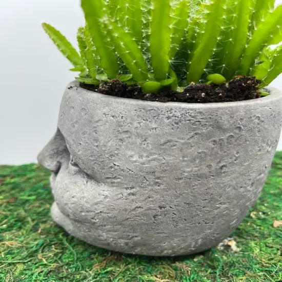 Whimsical "Face" Planter {6}