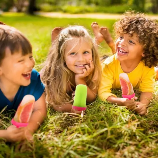 6Pcs DIY Popsicle Reusable Molds For Homemade Iced Snacks Hotpink {6}