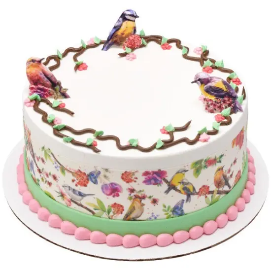 Springtime Birds Cupcake Rings, 12ct {5}