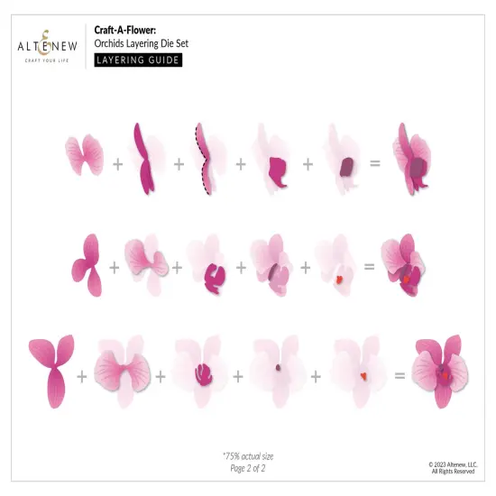 Craft-A-Flower: Orchids Layering Die Set {4}