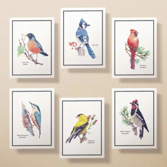Watercolor Birds Greeting Cards | Bird Watching Cards | Cardinal Card| Blue Jay Card | Birds Card Set | Birds Names Cards | Bird Identification {4}