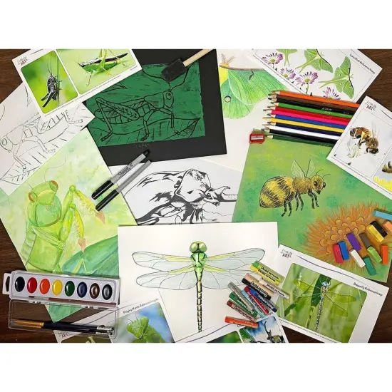 Homeschool Art A - Insects Are Fun! {1}